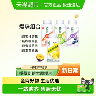 伊利畅轻酸奶草莓黄桃燕麦青提蓝莓柠檬爆珠酸奶大颗果肉甄选奶源