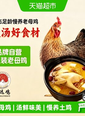天农供港清远鸡老母鸡煲汤600g*2