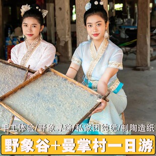 云南西双版纳旅游野象谷曼掌村纯玩一日游可预约雨林牧象大象洗澡