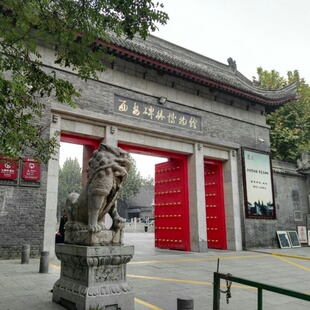 [西安碑林博物馆-大门票]大门票