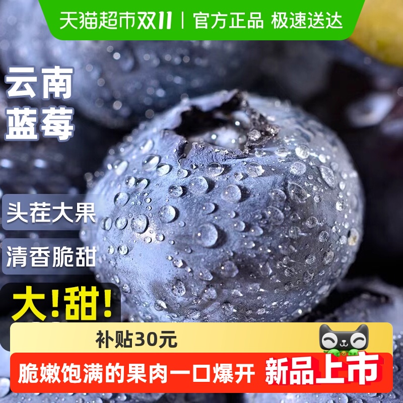 【下拉详情领补贴】云南高山花香蓝莓头茬鲜果L25特大果怡佳颗沃