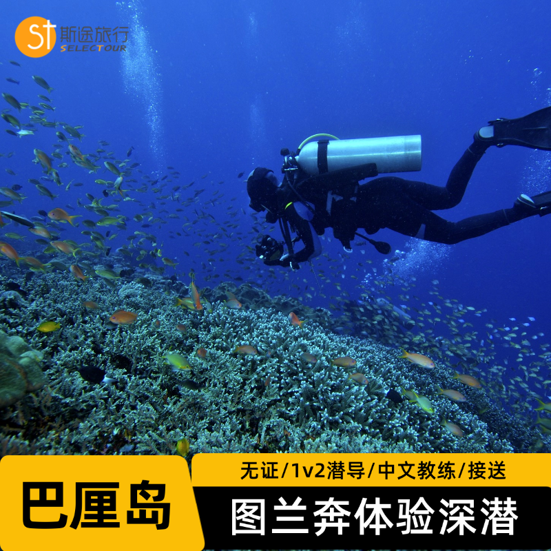 【无证可玩】巴厘岛潜水图兰奔深潜体验沉船珊瑚含接送午餐