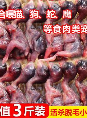 新鲜小鹌鹑肉冷冻乳嫩幼仔雏鸟现杀速冻肉类非冻干宠物零食生骨肉