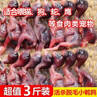 新鲜小鹌鹑肉冷冻乳嫩幼仔雏鸟现杀速冻肉类非冻干宠物零食生骨肉