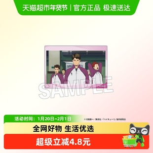 正版日谷 PROOF排球少年系列周边 迷你可立方形徽章第5弹