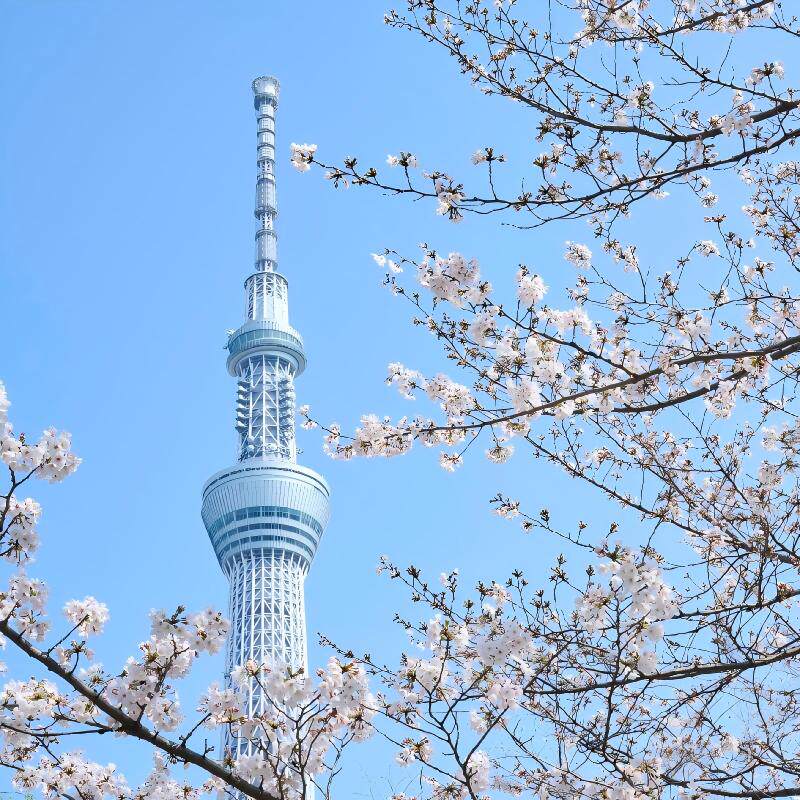 日本大阪名古屋往返六日游