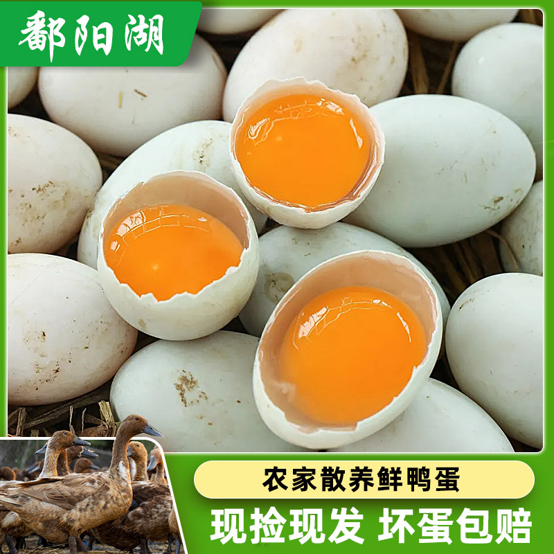 鄱阳湖土鸭蛋新鲜鸭蛋农家散养营养丰富蛋白整箱批发多种烹饪方式