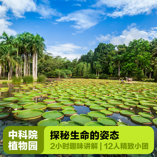 大咖说&bikego 西双版纳中科院植物园2h人工讲解云南旅游12人小团