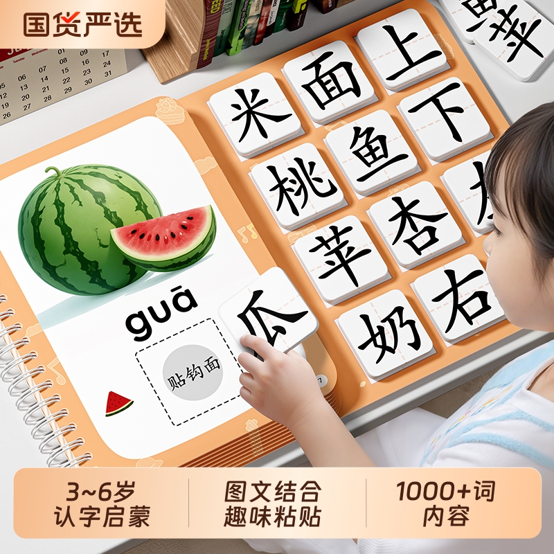 识字书幼儿认字启蒙2-6岁3宝宝早教安静书一年级儿童认知卡片全套
