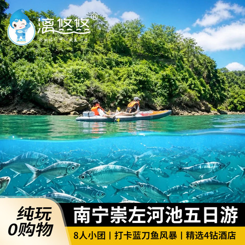 8人小团南宁崇左河池九顿天窗蓝刀鱼德天瀑布三门海5天4晚跟团游
