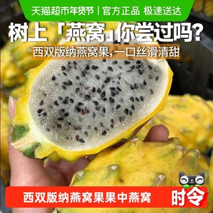 云南燕窝果麒麟果西双版纳新鲜水果火龙果孕妇水果整箱精美礼盒