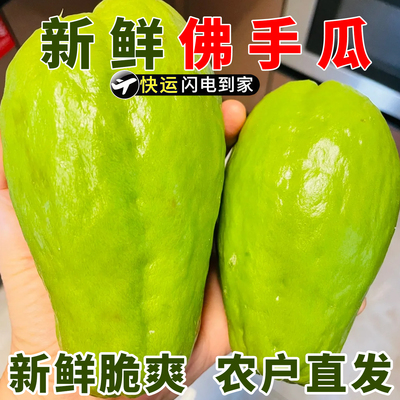 云南佛手瓜新鲜丝瓜洋瓜寿瓜蔬菜整箱包邮佛手瓜新鲜