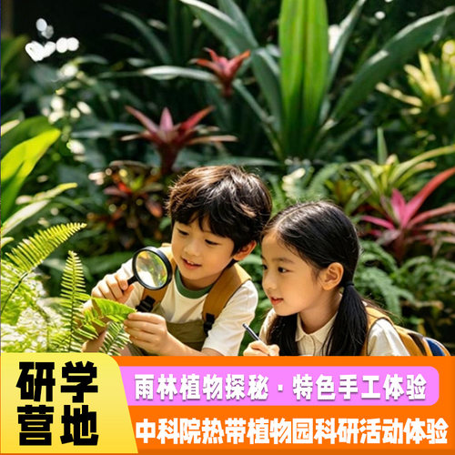 西双版纳中科院热带植物园科研活动/含西区科普讲解/DIY雨林画框