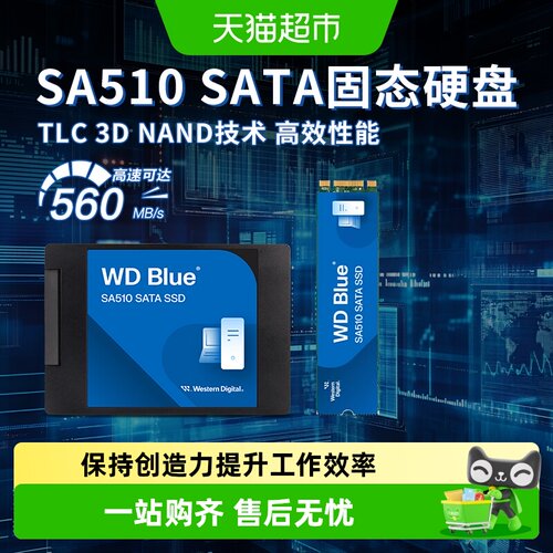 Sandisk/闪迪SATA