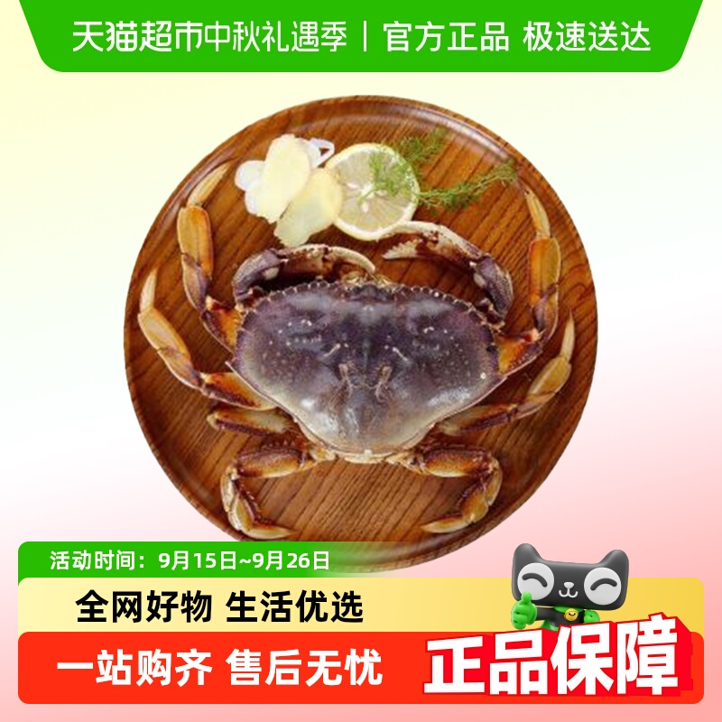 宝鲜活珍宝蟹面包蟹大个头海鲜类