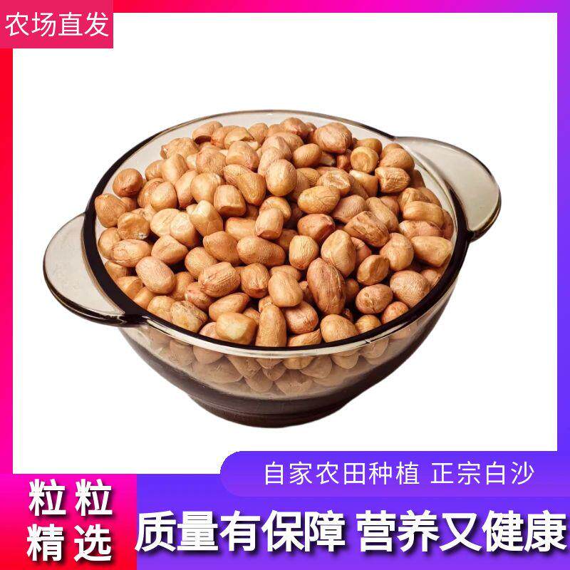 精选河南南阳白沙花生米无壳花生新鲜干货花生米批发价可生吃