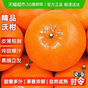 沃柑新鲜水果应当季整箱时令10砂糖斤蜜桔皇帝柑橘子非广西武鸣