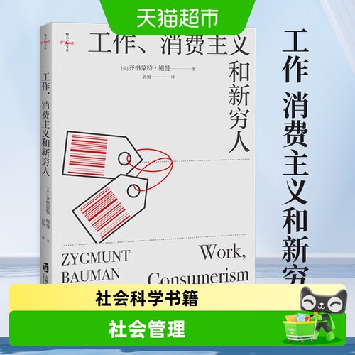 工作消费主义和新穷人社会书籍