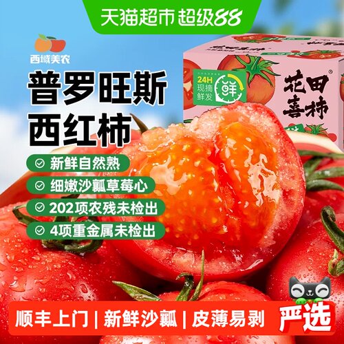 普罗旺斯西红柿番茄水果西红柿