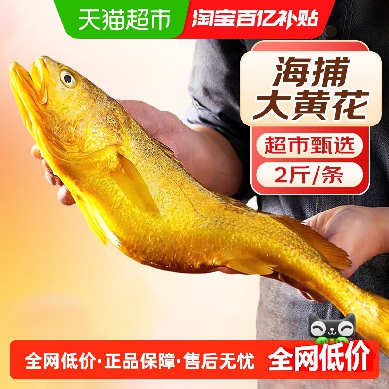 海仙部落黄花鱼新鲜冷冻大黄鱼深海鱼生鲜水产小黄鱼鲞,水产肉类/新鲜蔬果/熟食,黄鱼,淘宝优惠券,粉丝福利购,淘宝优惠卷