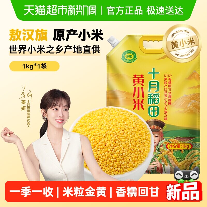 ʮ�µ������С�� 15.1Ԫ(��88VIP 95��)