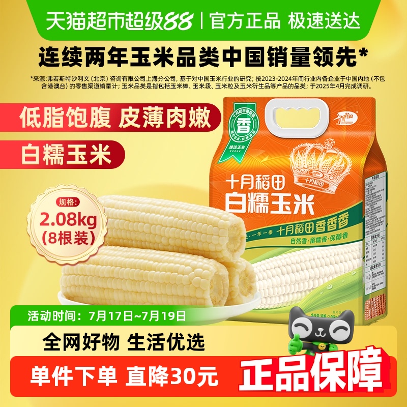 十月稻田白糯玉米东北玉米
