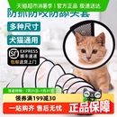 柒哦伊丽莎白圈猫咪狗狗项圈围脖头套绝育防舔舐圈防咬宠物耻辱圈