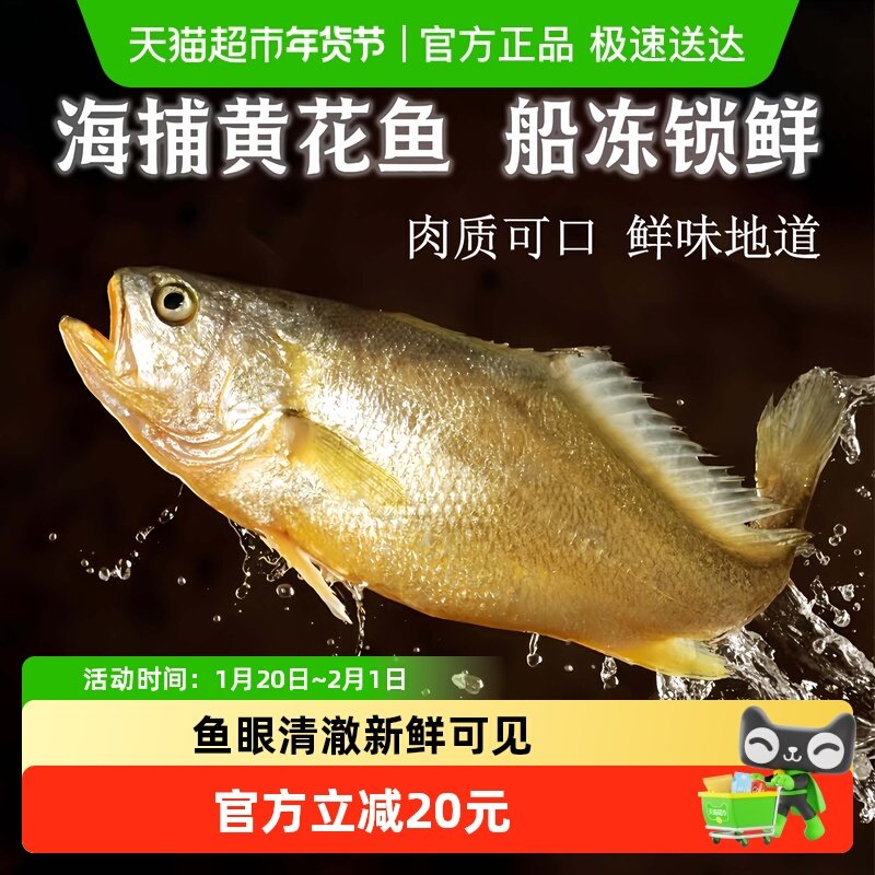 闽峡冷冻整鱼宁德新鲜海捕速冻大黄鱼4只每条4~5两黄花鱼鲜美肉质,水产肉类/新鲜蔬果/熟食,黄鱼,淘宝优惠券,粉丝福利购,淘宝优惠卷