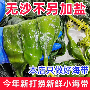 盐渍小海带苗5斤嫩海带荣成新鲜盐渍海带芽火锅食材整颗凉拌商用