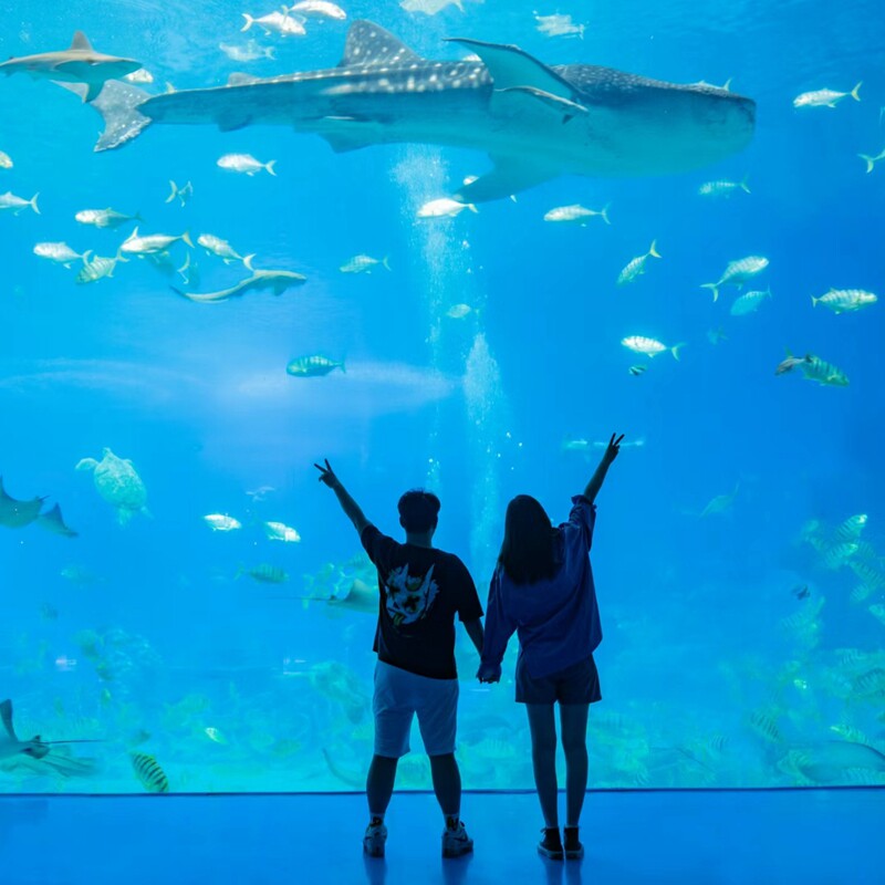 珠海跟拍拍照约拍旅拍长隆海洋王国摄影师写真化妆毕业领证婚礼