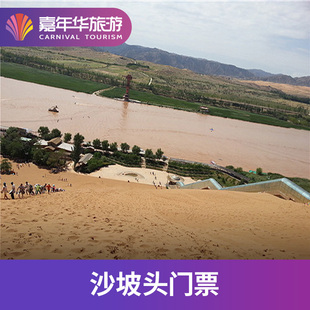 [沙坡头-沙漠骆驼][沙坡头旅游景区-沙漠骆驼]宁夏 中卫 沙坡头 沙漠骆驼