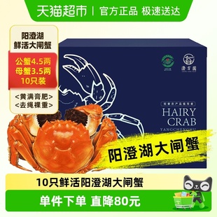 活蟹澄方圆阳澄湖大闸蟹鲜活特大蟹鲜活公4.5两母3.5两10只礼盒装
