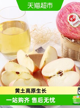 佳农洛川苹果新鲜水果产地直发