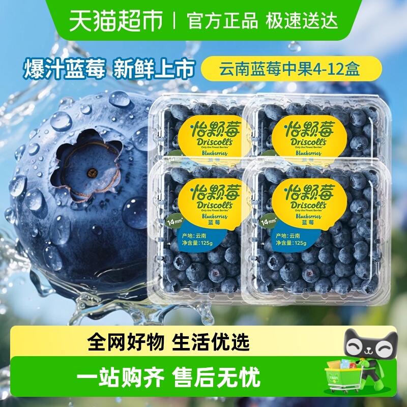 DRISCOLL'S/怡颗莓新鲜采摘蓝莓