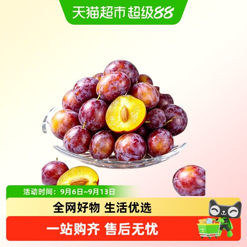 鲜瑞坊新疆法兰西西梅礼盒礼品