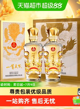 一尊天下金龙瓶浓香型白酒