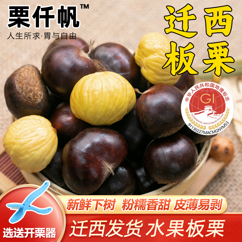 栗仟帆 正宗迁西鲜板栗2斤燕山栗子油栗河北唐山特产毛栗3113甜糯