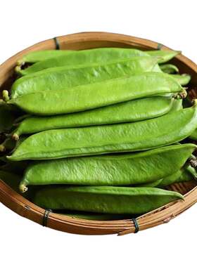 刀豆种子大家庭四季豆角蔬菜种孑