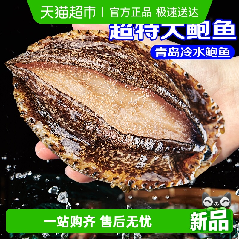 海仙部落鲍鱼鲜活冷冻超大