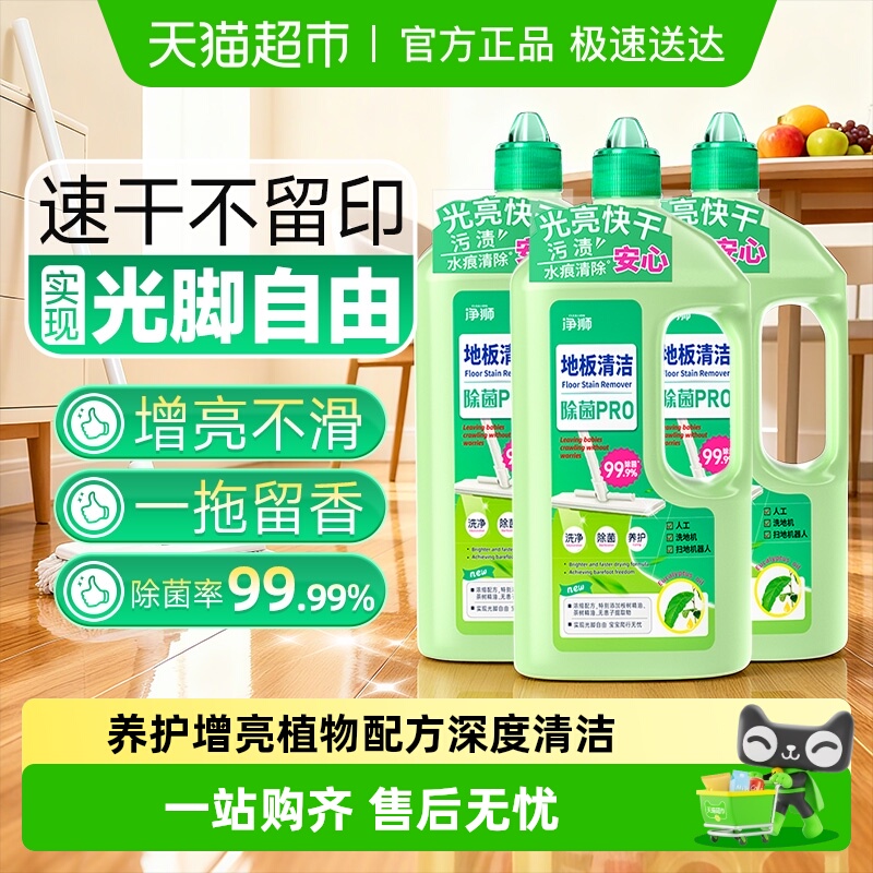 净狮除垢杀菌地板清洁剂