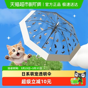 天玮伞业日系网红氛围感透明雨伞猫狗萌趣伞高颜值男女长柄伞