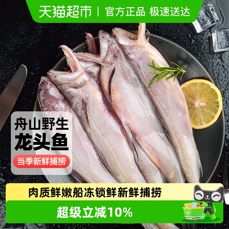 遇上鲜舟山龙头鱼新鲜冻豆腐鱼九肚鱼水潺鱼水产生鲜辅食特产