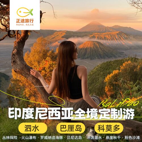 【私人定制】专车专导，行程可调，酒店可调，玩法可变，专车接送、私人 【网红景点】粉色沙滩，精灵坠崖，布罗莫火山，仪征蓝色火焰，日出海豚 【多重重体验】巴厘岛+科莫多+泗水，带您探索粉色沙滩，打卡月球表面 【体验升级】2晚私人泳池别墅+2晚科莫多阿雅娜酒店多酒店选择赠漂浮早