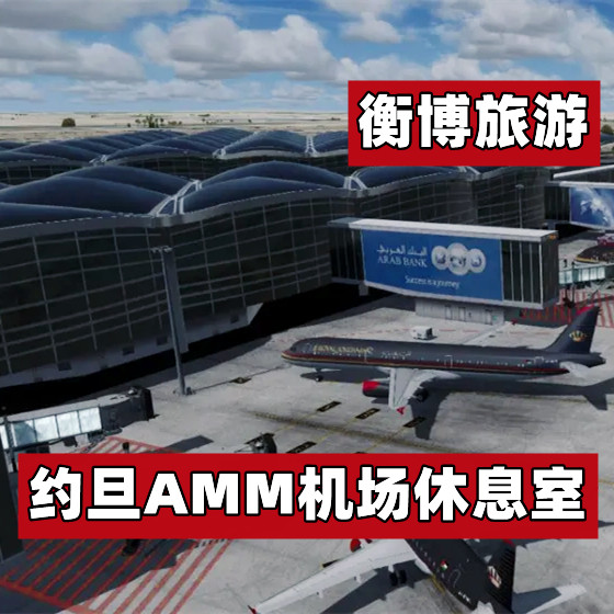 AMM 约旦 阿勒娅王后 安曼 机场休息室 转机VIP贵宾厅图片