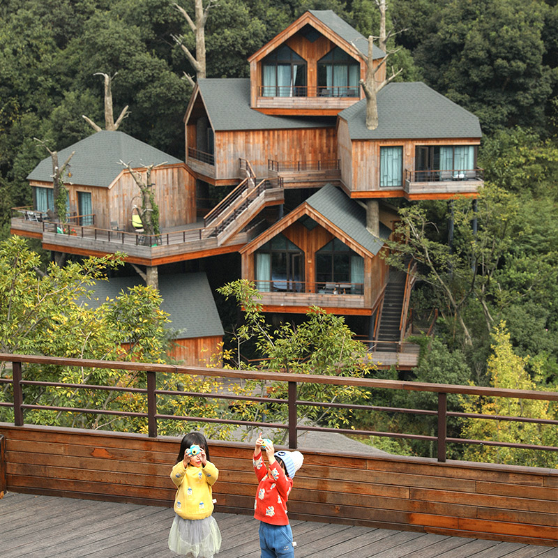 【特色房型】网红树屋回归，一站式度假体验，开启奇趣森活之旅 【星厨美味】双人自助早餐，星厨美食，助力元气一天 【网红乐园】网红水乐园或儿童乐园畅玩，晴雨无惧，四季可玩，恒温保障