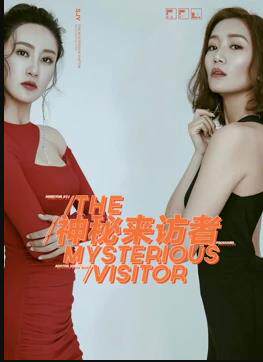 神秘来访者
