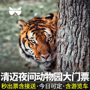 接送 大门票 泰国清迈夜间动物园大门票酒店接送多场次可选园区游览车 清迈夜间动物园