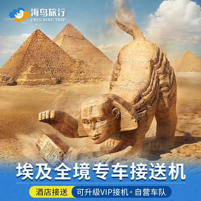 埃及接送机开罗接机卢克索赫尔格达阿斯旺机场到酒店送机