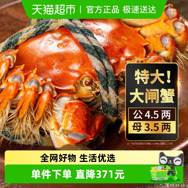 湖东蟹鲜活大闸蟹8只装