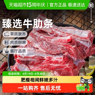 祁连天宝牛肋条原切黄牛肉去骨牛肋条肉生鲜牛肉烧烤炖肉食材
